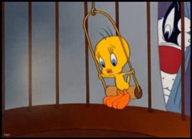 Gif animé Titi et Gros Minet
