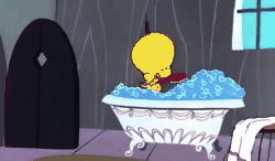 Gif Titi prend un bain
